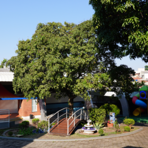 Estrutura-Colégio-HumanusPátio